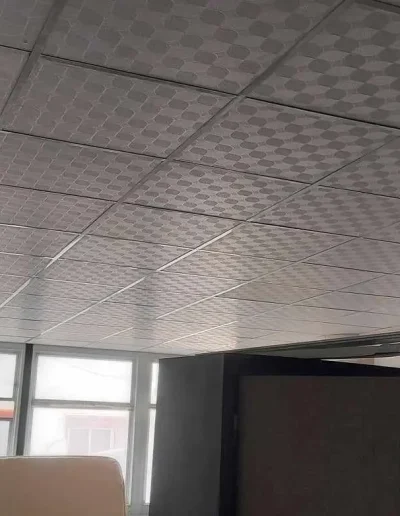 Faux plafond