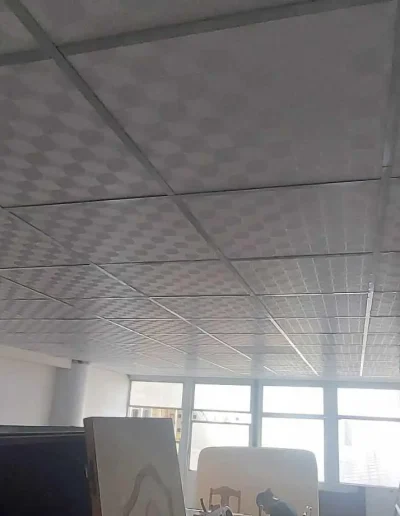 Faux plafond